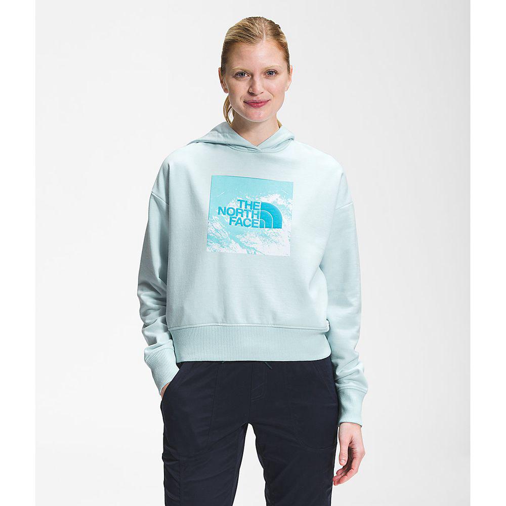 The North Face Logo Play Γυναικεια Φούτερ Hoodie - Μπλε (ISVM48569)